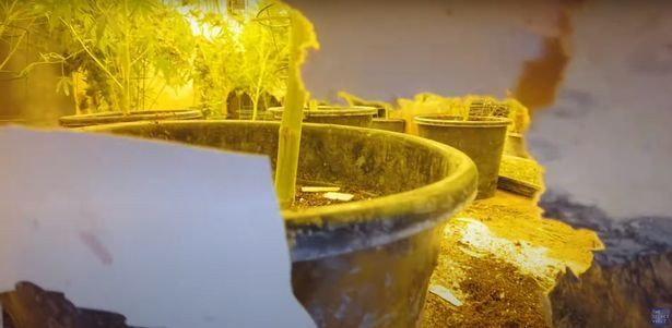 VIDEO. Descoperirea neașteptată făcută de doi exploratori urbani, într-un tunel secret vechi de peste 100 de ani