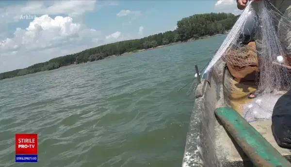 Braconajul sturionilor femele, o reală problemă în România. Suma fabuloasă pentru care se vinde un kilogram de icre negre