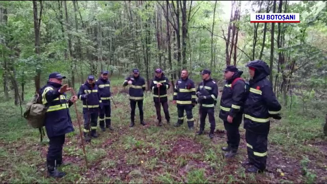 Un bărbat de 78 de ani a dispărut în pădurea Vorona. A plecat să culeagă ciuperci și nu s-a mai întors acasă