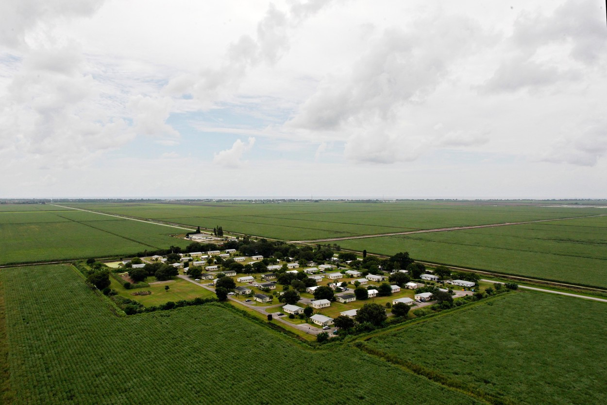 Satul devenit refugiu pentru agresorii sexuali. Peste jumătate din locuitori au fost condamnați