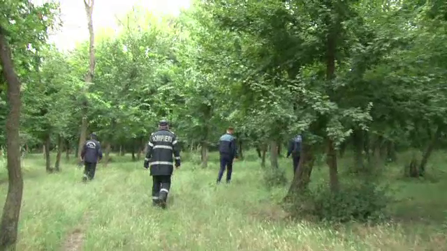 Peste 100 de polițiști, pompieri și voluntari îl caută pe bărbatul dispărut după ce a plecat la cules de ciuperci
