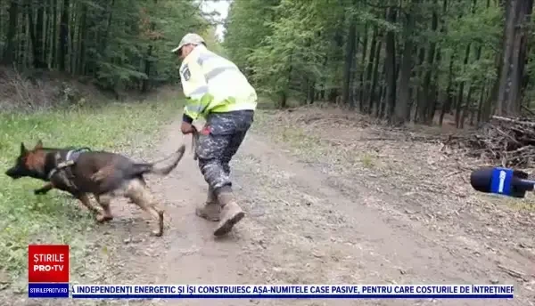 Peste 100 de polițiști, pompieri și voluntari îl caută pe bărbatul dispărut după ce a plecat la cules de ciuperci