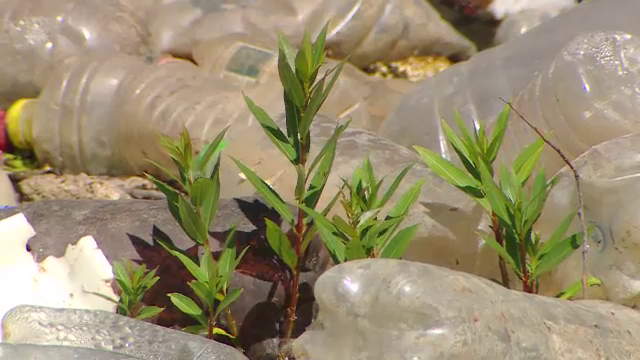 Uriaș depozit de gunoi, ascuns de autorități prin îngroparea deșeurilor, în Baia de Arieș. Plasticul, găsit și în pești