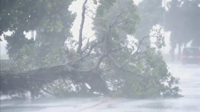 Cel puțin 3 morți și 8 persoane dispărute după ce un taifun a lovit Coreea de Sud