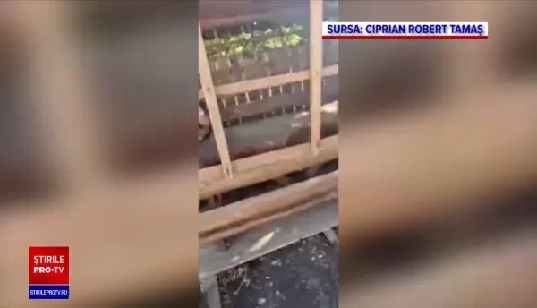 Polițist din Vaslui, anchetat: Agentul a venit la locul de muncă îmbrăcat în trening și în Moș Crăciun