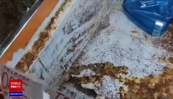 Halele Centrale din Ploiești, închise de inspectorii ANPC. Colcăiau gândacii în vitrine murdare și ruginite
