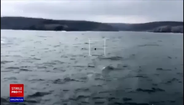 A fost alertă în Marea Neagră. Dragorul maritim 29, avariat în urma exploziei minei pe care o neutraliza, a fost adus la mal