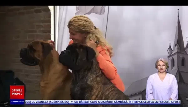 Concurs de frumusețe canină la Târgu Mureș. Au participat 900 de câini din 40 de țări