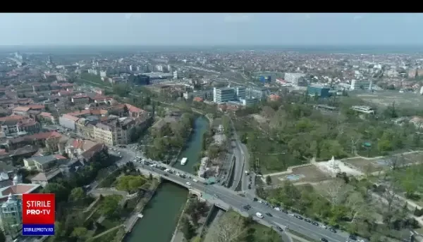 Orașele din România care vor să ardă copaci pentru a avea energie la iarnă. Unde sunt plantați „pomi energetici”