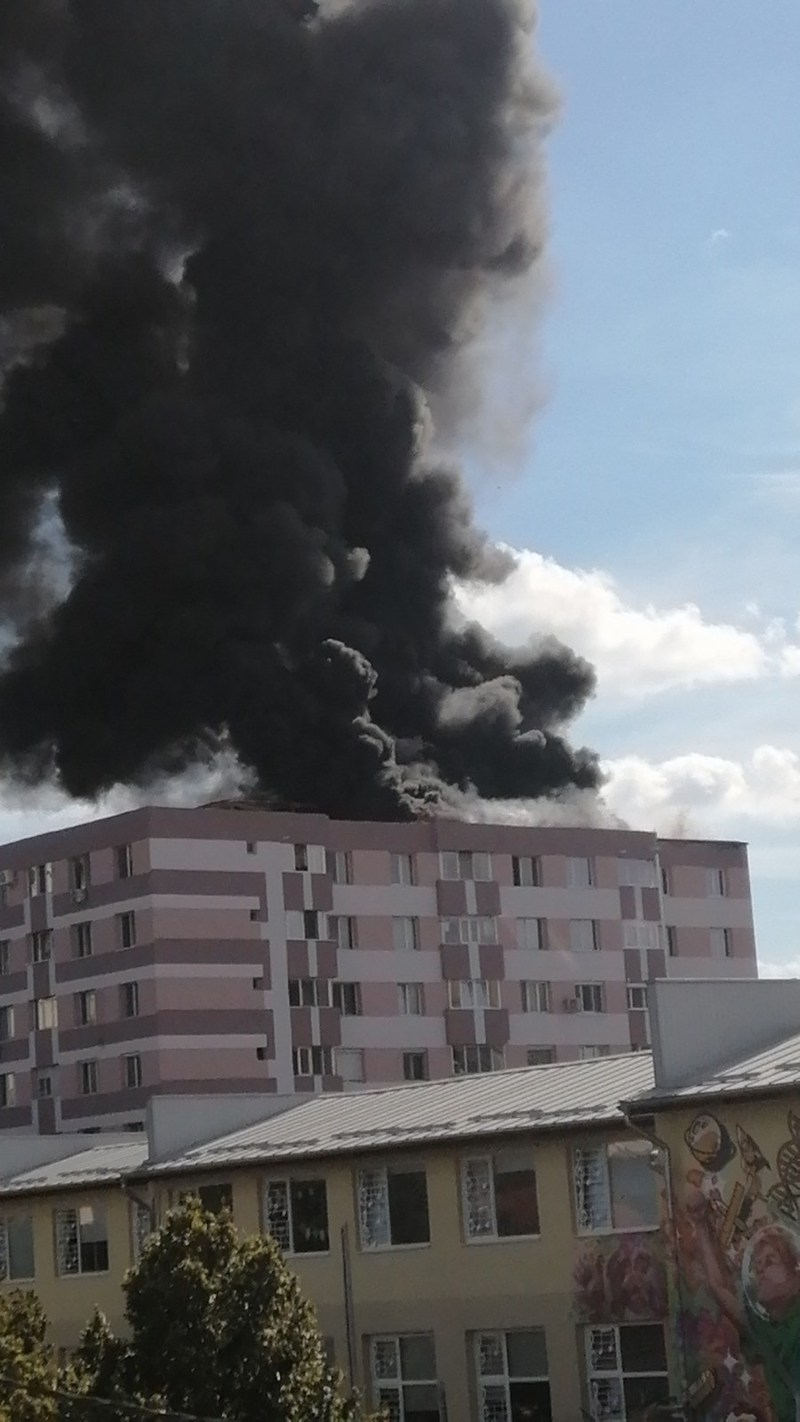 incendiu timisoara