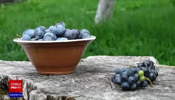 Zona din România care produce prune ideale pentru magiun. Care este rețeta tradițională