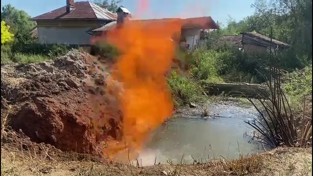 Descoperire inedită în curtea unei familii din Dolj. Oamenii au cerut ajutor la 112