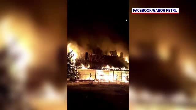 Două case au ars din temeilii și o alta a fost afectată parțial de flăcări, în Tulcea. Focul ar fi fost pus intenționat