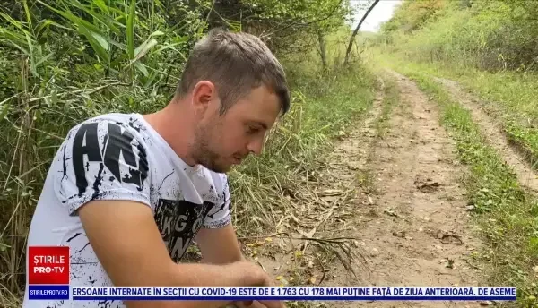 O stână din apropiere de Sibiu a fost atacată de urși. Zeci de capre au murit