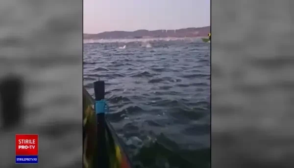 Imagini spectaculoase cu un fenomen rar în Tulcea. De ce au început peștii să sară din apă