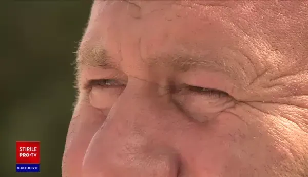 Criză de lemne de foc. Oamenii speriați de scumpirea energiei au epuizat stocurile magazinelor