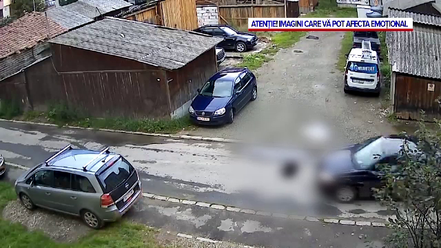 Șoferiță din Bistrița-Năsăud, cercetată după ce a lovit intenționat un câine. Ce pedeapsă riscă