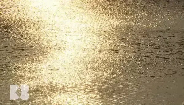 Ce se întâmplă în corpul nostru dacă uităm să bem apă. Deshidratarea este un pericol vital