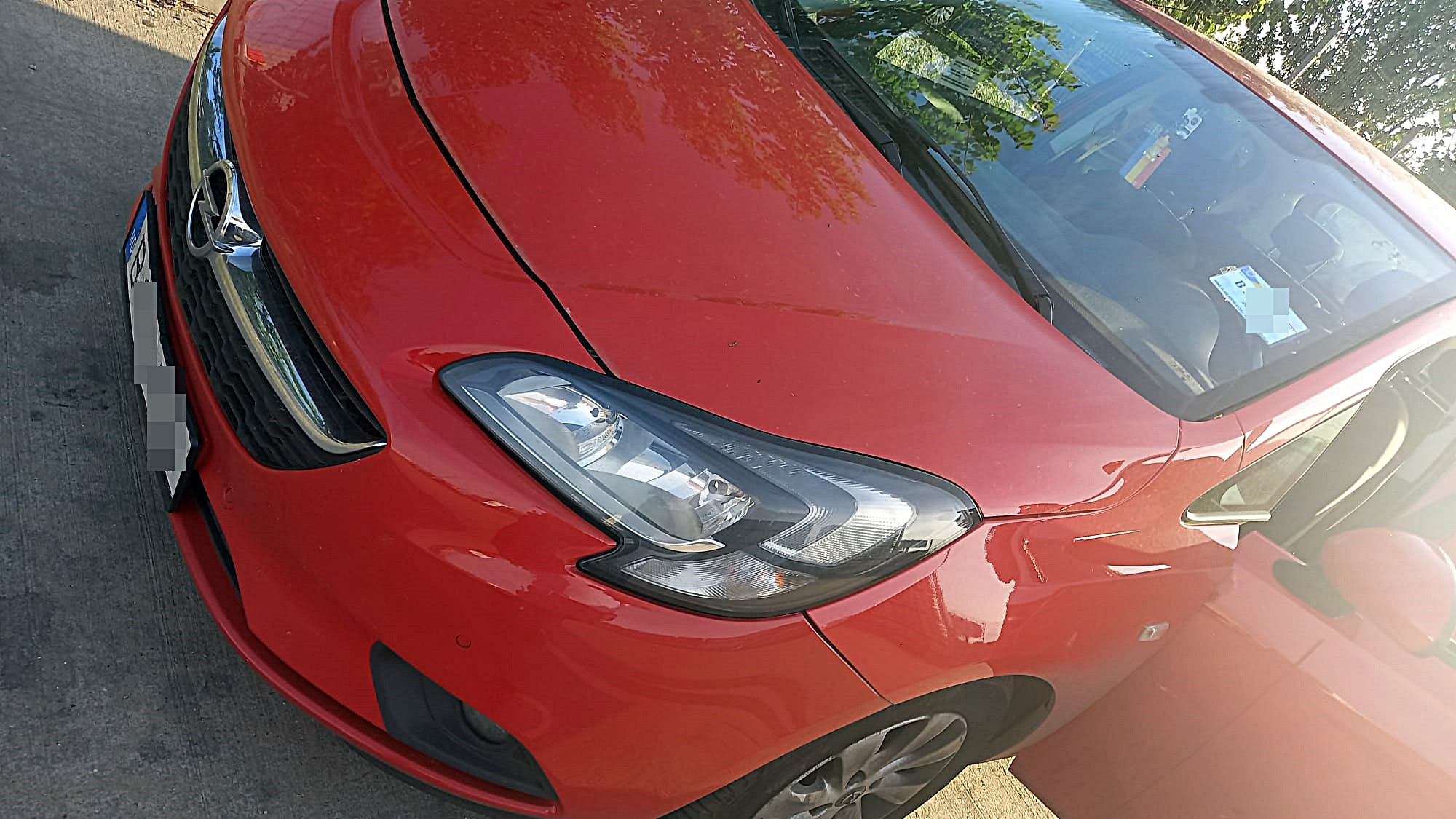 mașina Dianei Șoșoaca