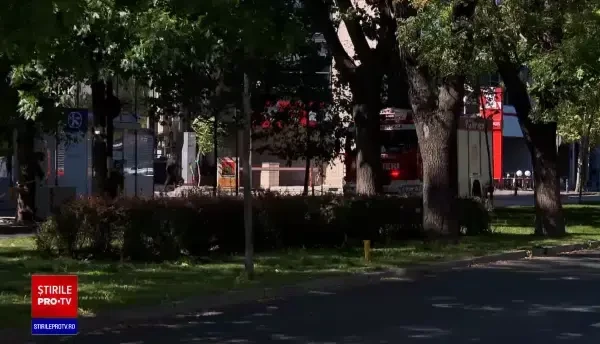 Vântul a făcut ravagii în București și Ilfov. Zeci de copaci prăbușiți și stâlpi căzuți pe mașini