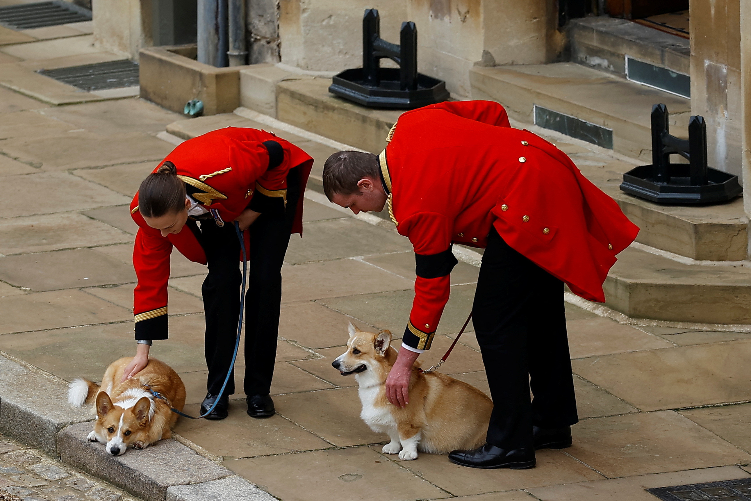 Loiali Reginei Elisabeta a II-a, câinii Corgi şi poneiul acesteia au fost prezenţi la trecerea cortegiului la Windsor | VIDEO