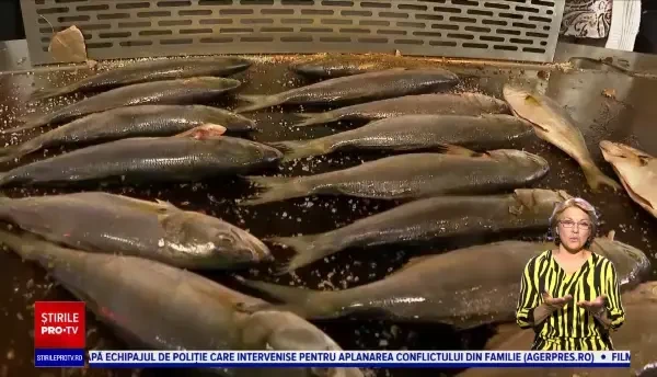 Peștele, gătit în cele mai ciudate moduri, pe litoralul românesc: Pe pizza sau chiar desert