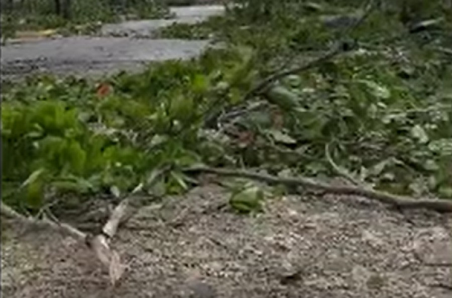 Imagini dramatice surprinse în Republica Dominicană. Uraganul Fiona s-a dezlănțuit sub privirile copiilor Adelei Popescu