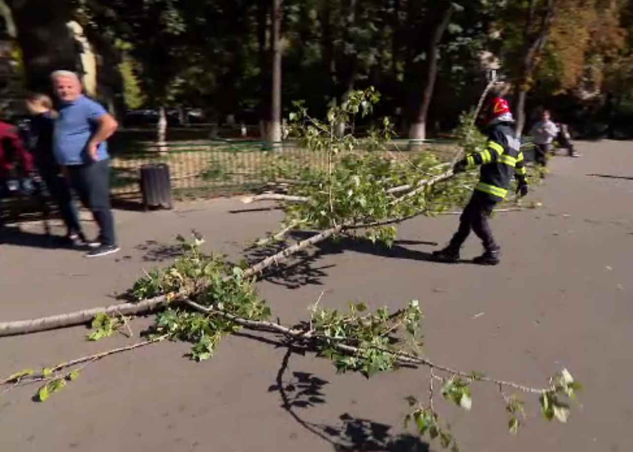 Bucureștiul se poate transforma în capitala copacilor căzuți, la un vânt puternic. Sunt deja pagube însemnate
