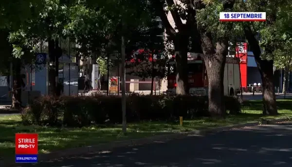 Bucureștiul se poate transforma în Capitala copacilor căzuți, la un vânt puternic. Sunt deja pagube însemnate