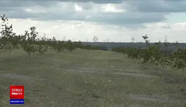 Sute de hectare de teren agricol, afectate de activitatea unui combinat siderurgic din Galați. Agricultorii au făcut plângeri