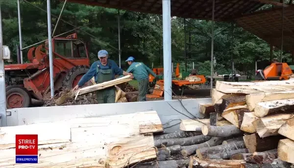 Români se întorc la sobele cu lemne, din cauza prețurilor la gaze și la curent. Sunt deja liste de așteptare de luni bune