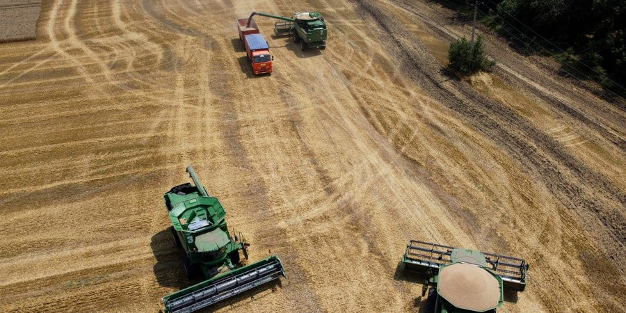 Rusia nu mai are unde să depoziteze o recoltă istorică de grâu