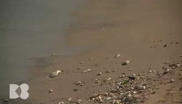 Tratamentul pentru hipertensiune care te scapă de medicația zilnică