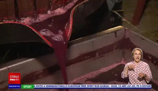 Festival dedicat mustului în parcul IOR din Capitală. Cea de-a 23-a ediție se încheie duminică seară