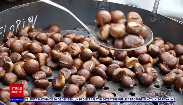 Arome de toamnă la Baia Mare. Sărbătoarea Castanelor a ajuns la cea de-a 28-a ediție