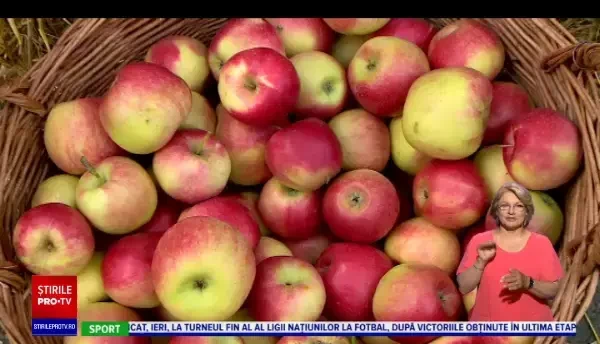 Sute de oameni s-au strâns la târgul de fructe şi legume organizat în Bistrița-Năsăud