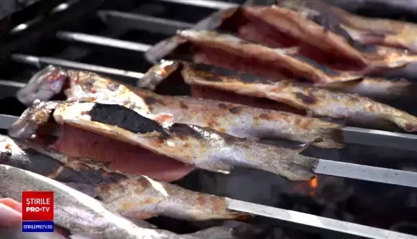 Păstrăvul, vedetă la târgul care promovează consumul de pește din stațiunea Cheia