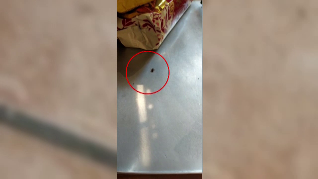 Gândacii stau pe rafturile dintr-o brutărie din Câmpia Turzii. Magazinul, închis temporar în urma reclamațiilor clienților