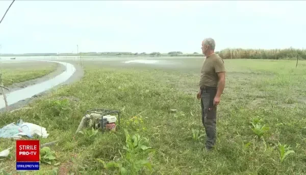 Dezastru în Delta Dunării. Șase lacuri au secat complet, iar alte zeci sunt pe cale de dispariție