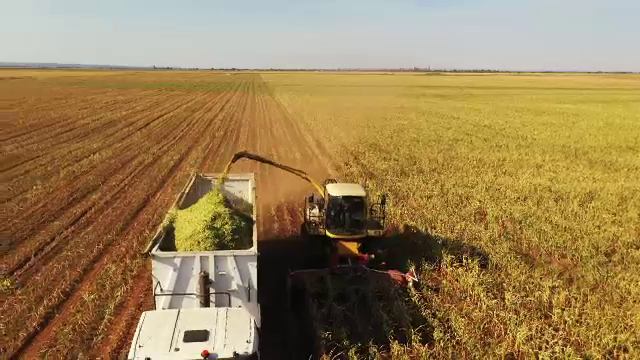 Culturi risipite din cauza „hibelor legislative”. Cum reacționează statul român la problema secetei