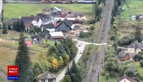 O fraudă uriașă cu lemn tăiat ilegal din păduri, investigată în aproape jumătate din țară. Cine ar fi în spatele tranzacțiilor