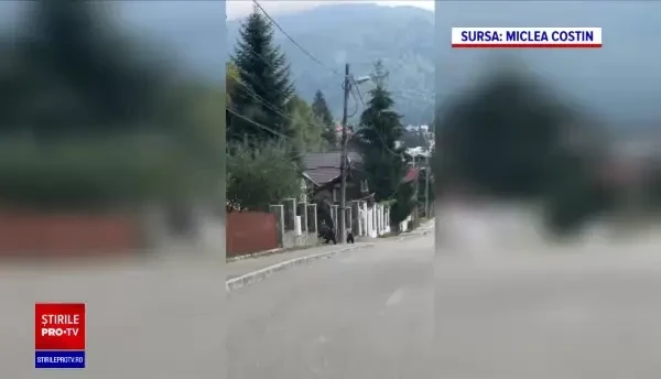 Daea a spus la Bruxelles că „trebuie luate rapid măsuri” împotriva urșilor. Ce a omis Ministrul Agriculturii