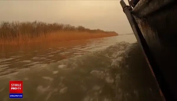 Sezonul estival s-a încheiat, iar Delta Dunării s-a umplut de turiști. Ce îi atrage în această perioadă