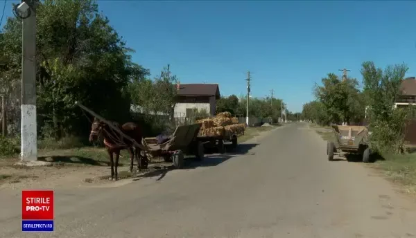 Doi copii din Buzău au fost sechestrați, bătuți și obligați să muncească. Băieții au ajuns în stare gravă la spital