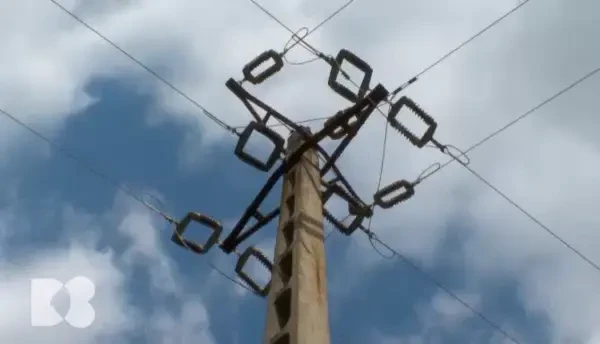 Povestea electricității în organismul uman. Legătura dintre organele vitale și energia electrică