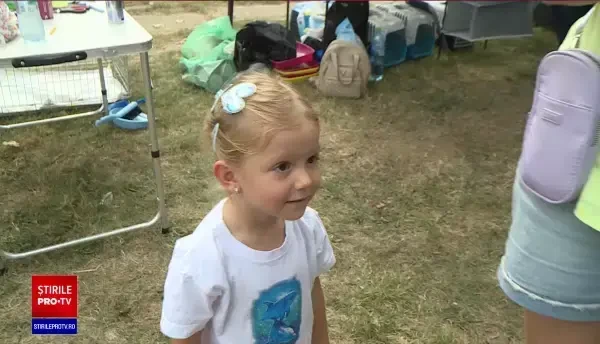 Târg de adopții pe insula Lacul Morii. Zeci de cățeluși și pisici așteaptă să fie luați acasă