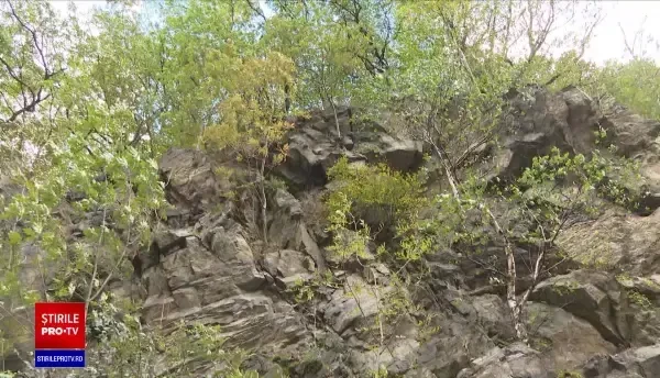Decizia CNAIR, după ce un șofer a fost ucis de un bolovan care i-a căzut pe mașină, în Defileul Jiului