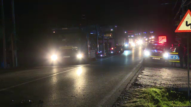 Un căruțaș a scăpat calul de sub control pe un drum național și a provocat un accident cu două mașini