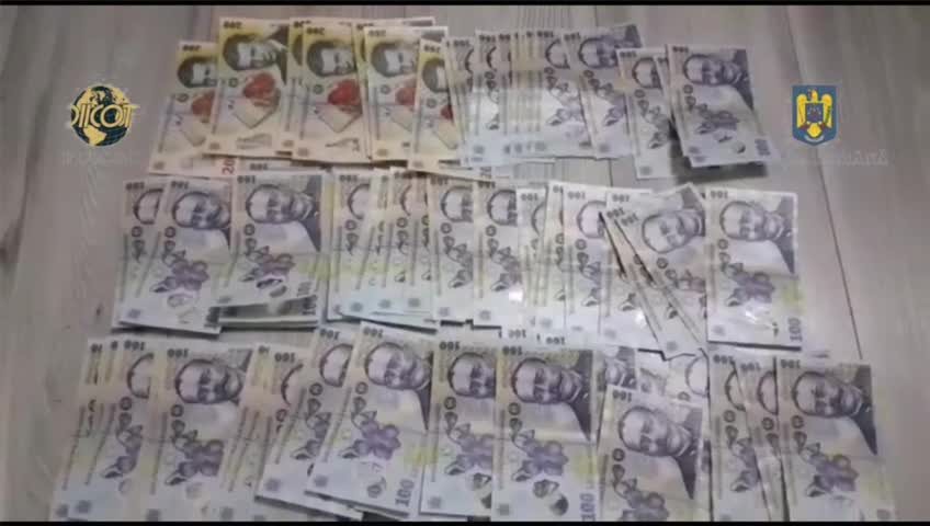 Operațiune de amploare: 150 de persoane, duse la audieri într-un dosar de trafic de droguri. Unde aveau plantațiile