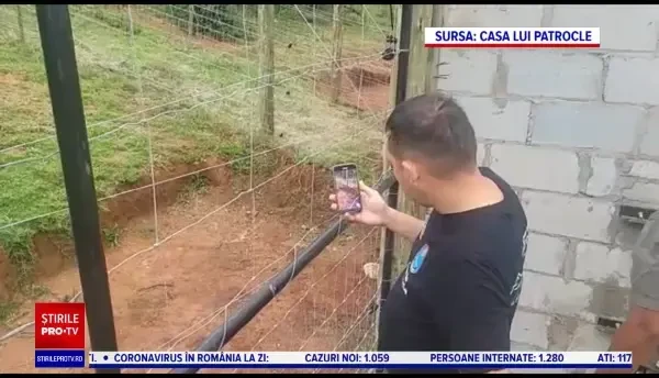 Doi lei salvați din Ucraina au fost eliberați într-un sanctuar din Africa de Sud, după ce au fost găzduiți la Rădăuți